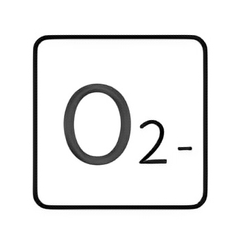 Special and new | Towel dryer MJ03 (6)