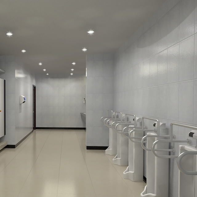 Public facilities bathroom